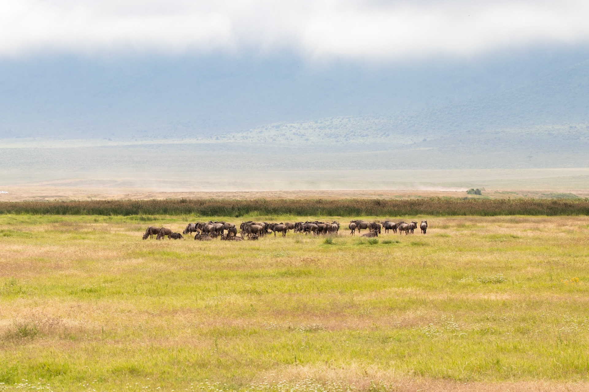 Ngorongoro National Park, Tanzania