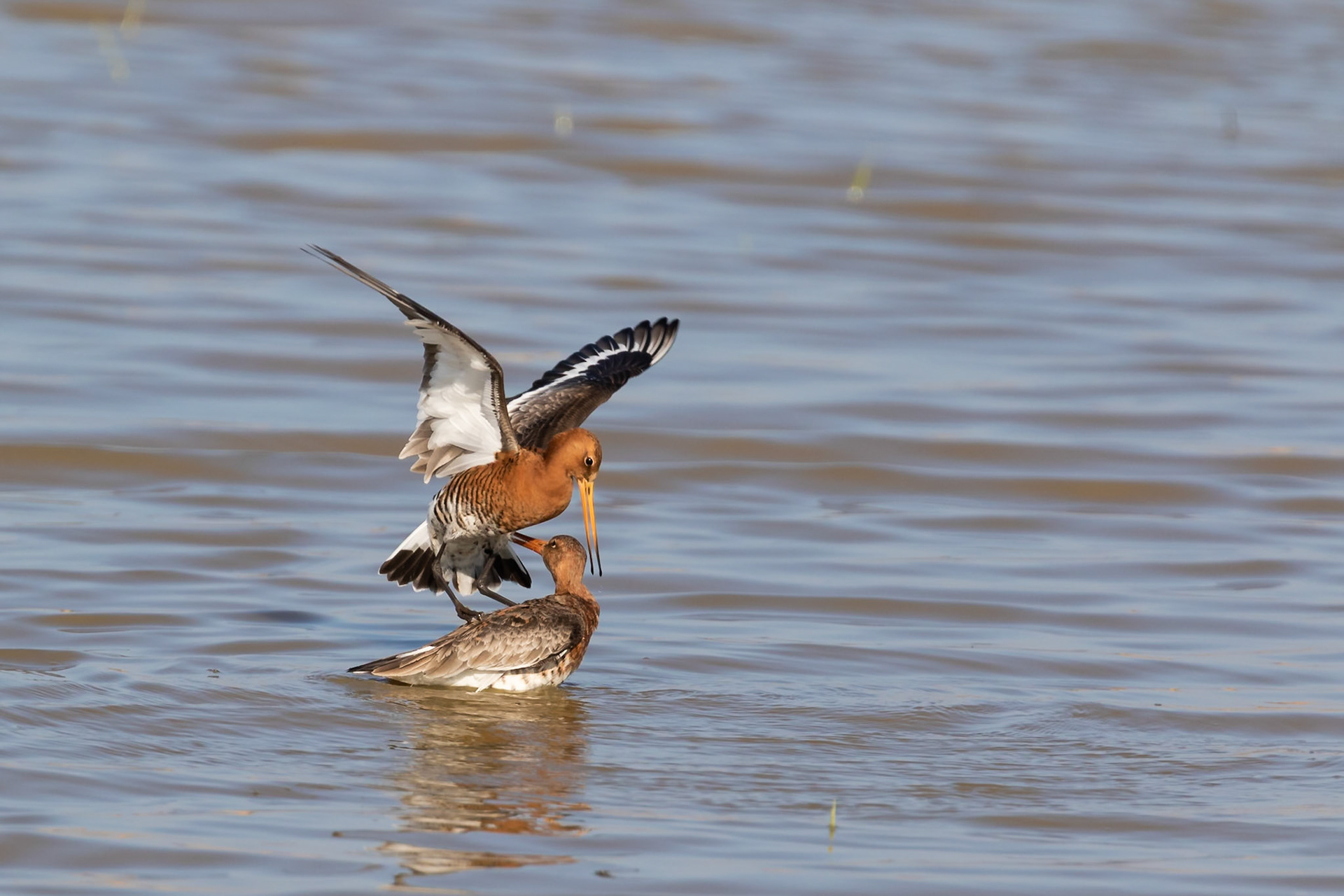 Norfolk, United Kingdom