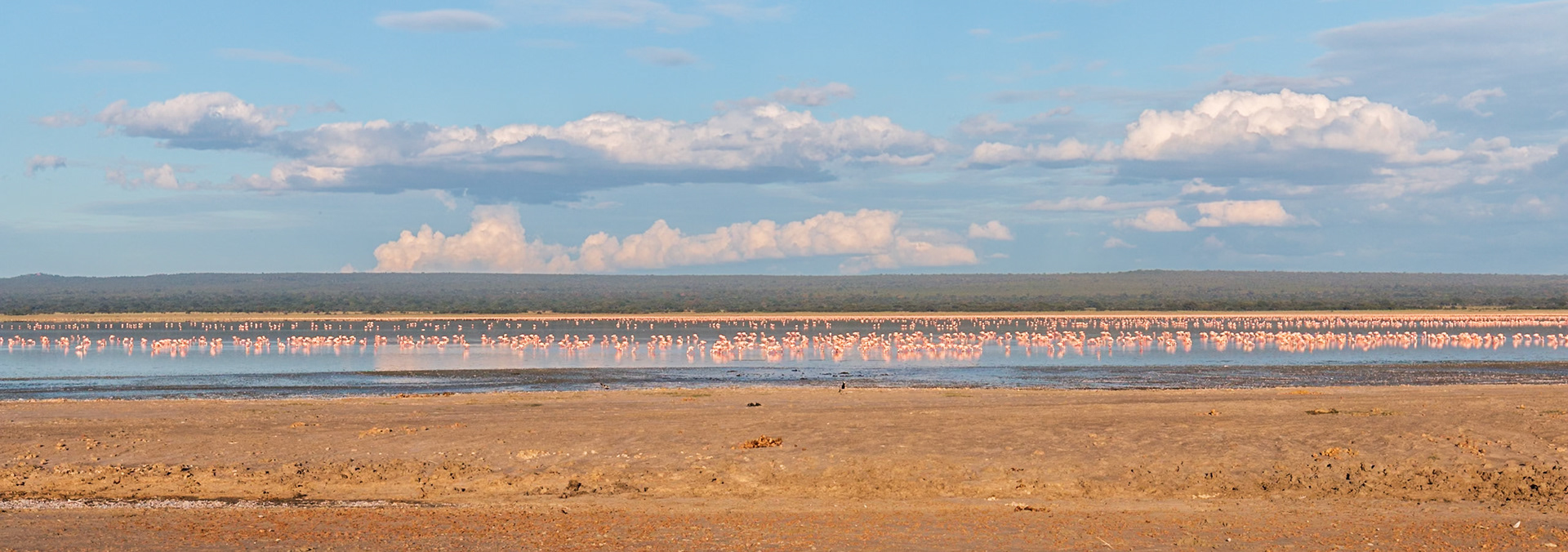 Tarangire National Park, Tanzania
