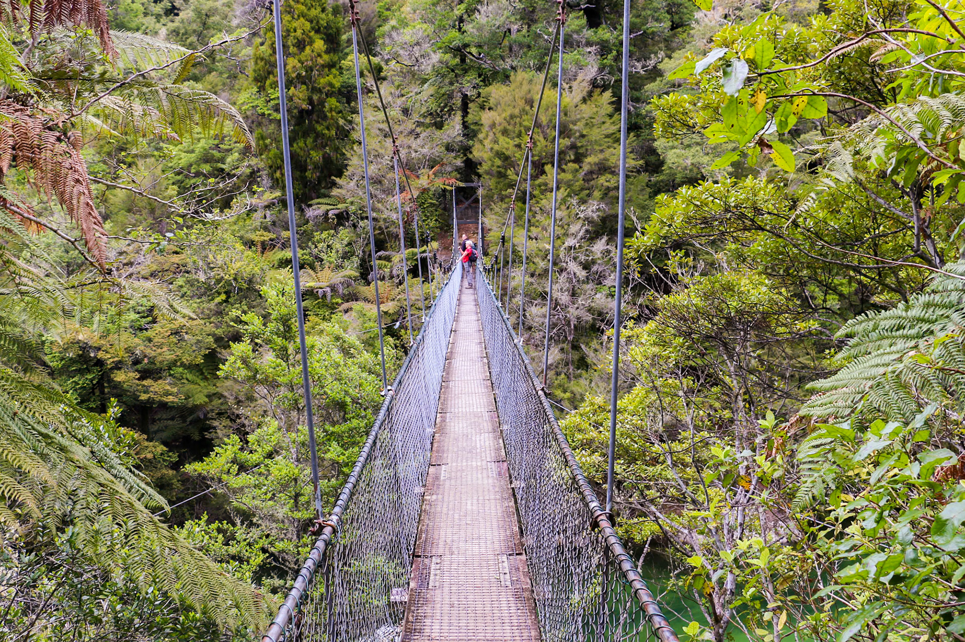 Swing Bridge, New Zealand