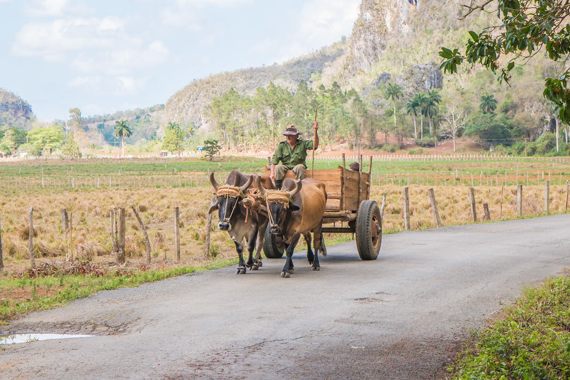Farmin in Viñales, Cuba