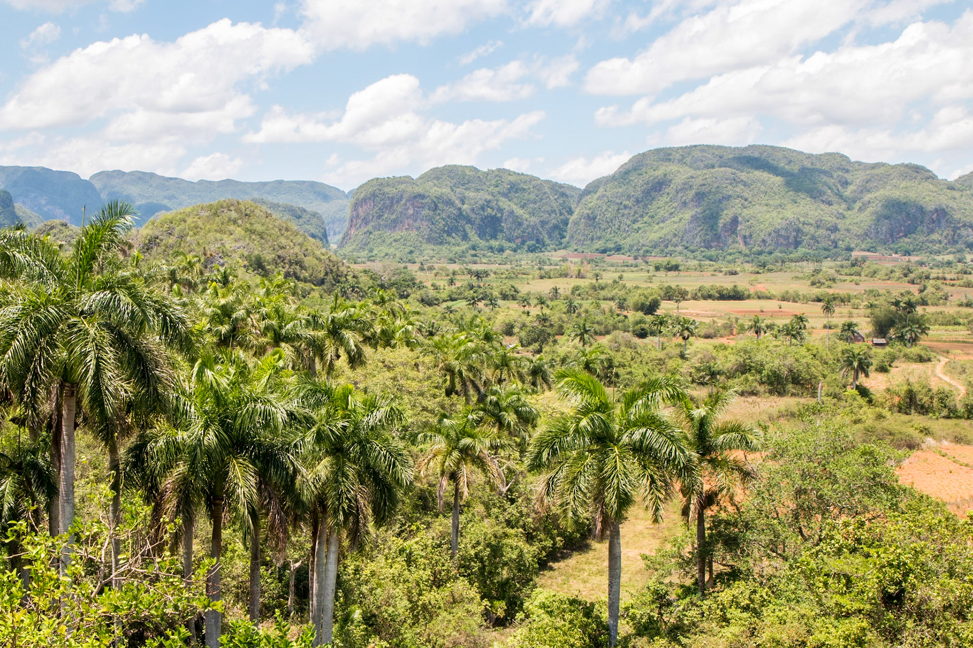Mogotes, Valle de Viñales, Cuba