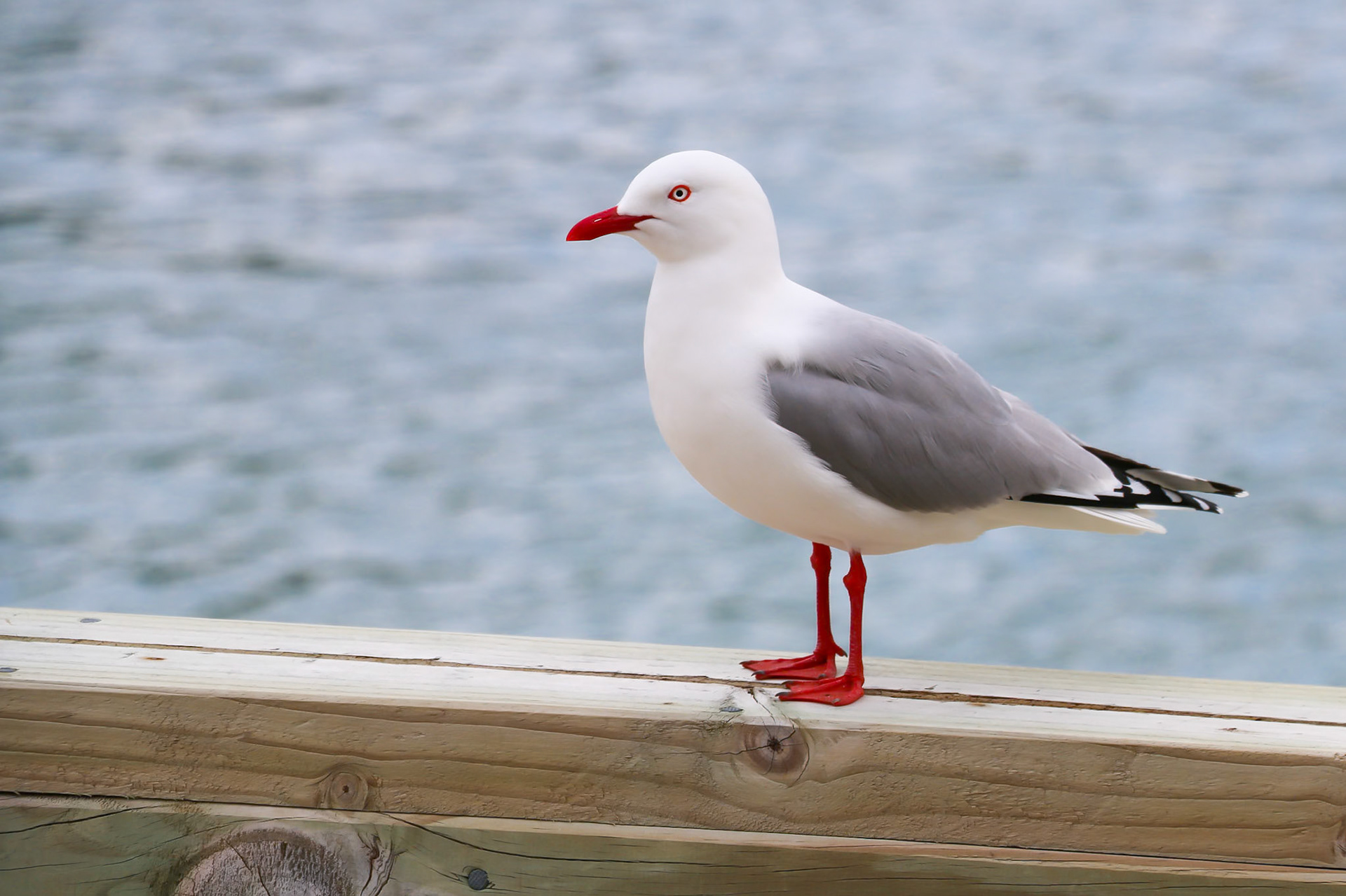 Abel Tasman National Park, New Zealand
