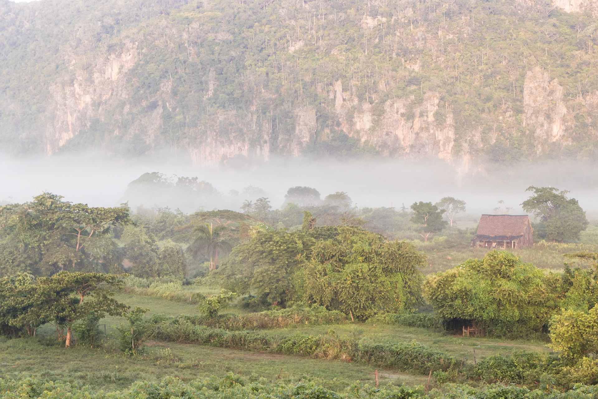 Valle de Vinales, Cuba