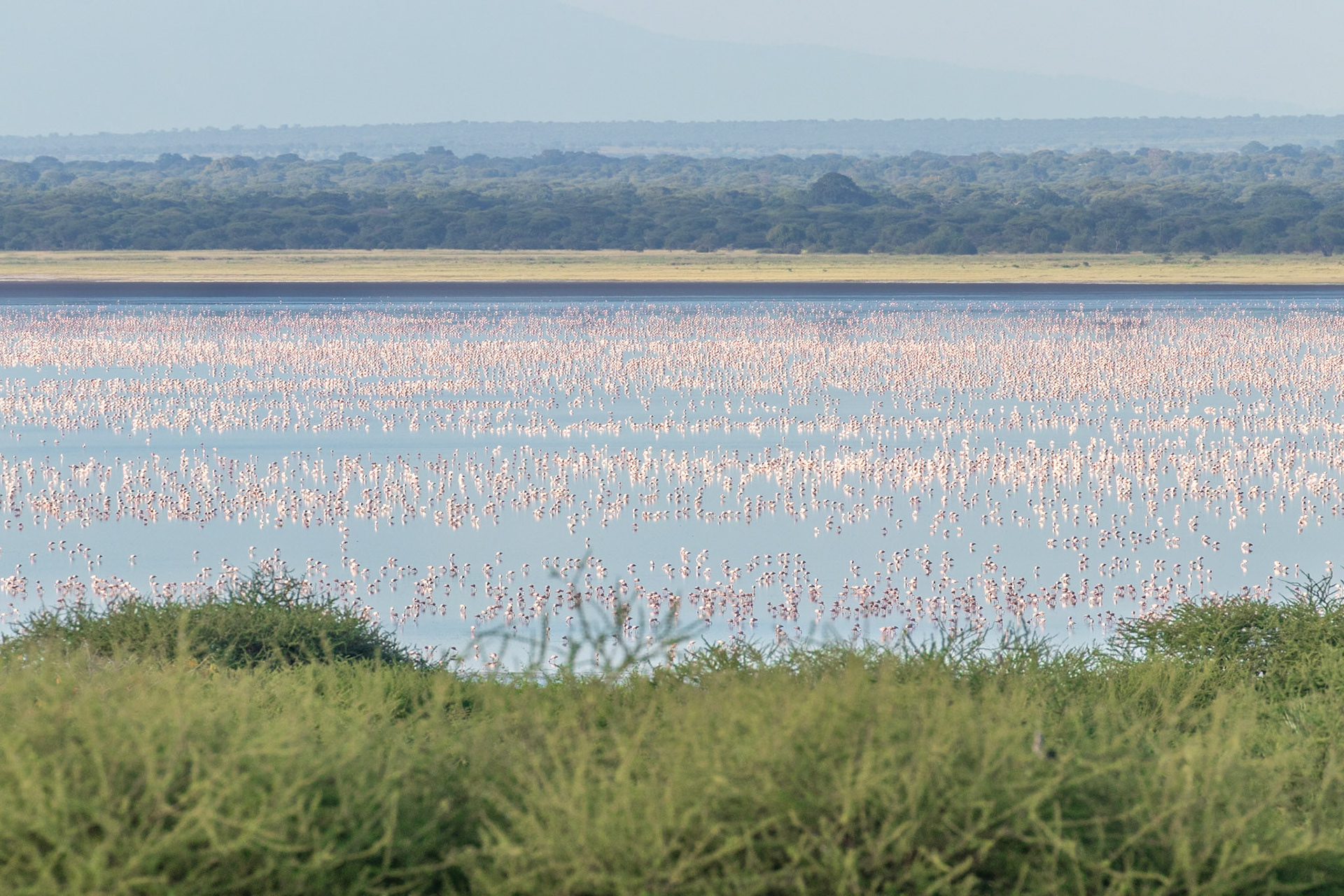 Tarangire National Park, Tanzania