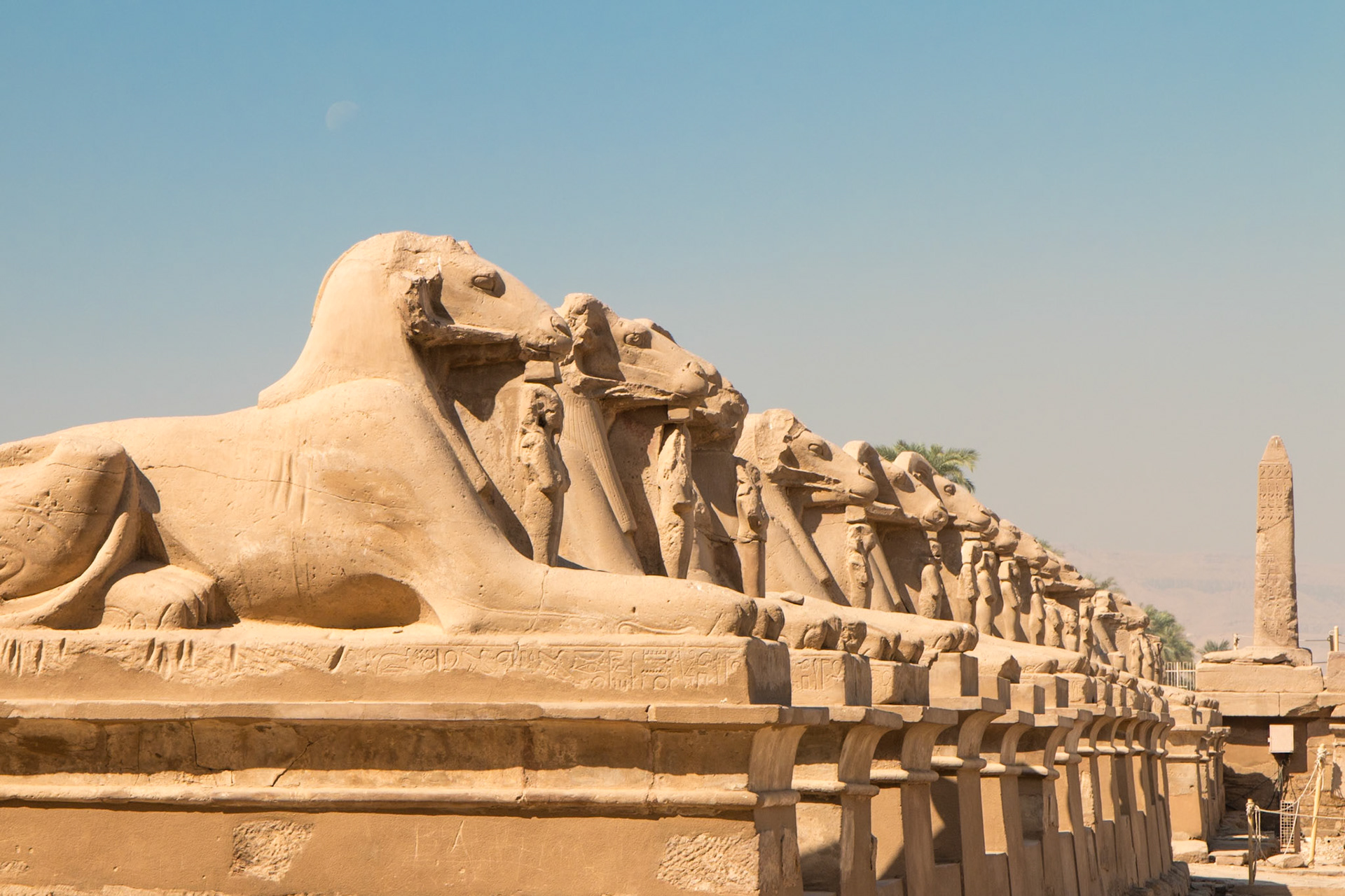 The Sphinxes, Karnak, Luxor, Egypt