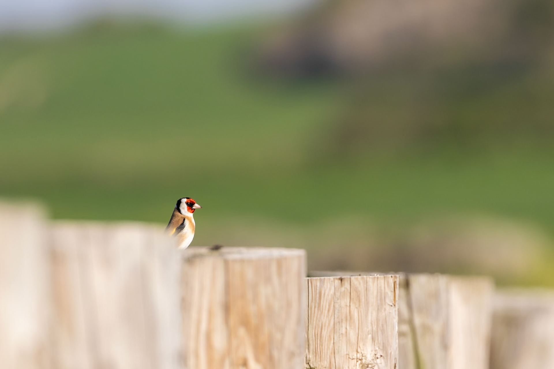 Norfolk, United Kingdom