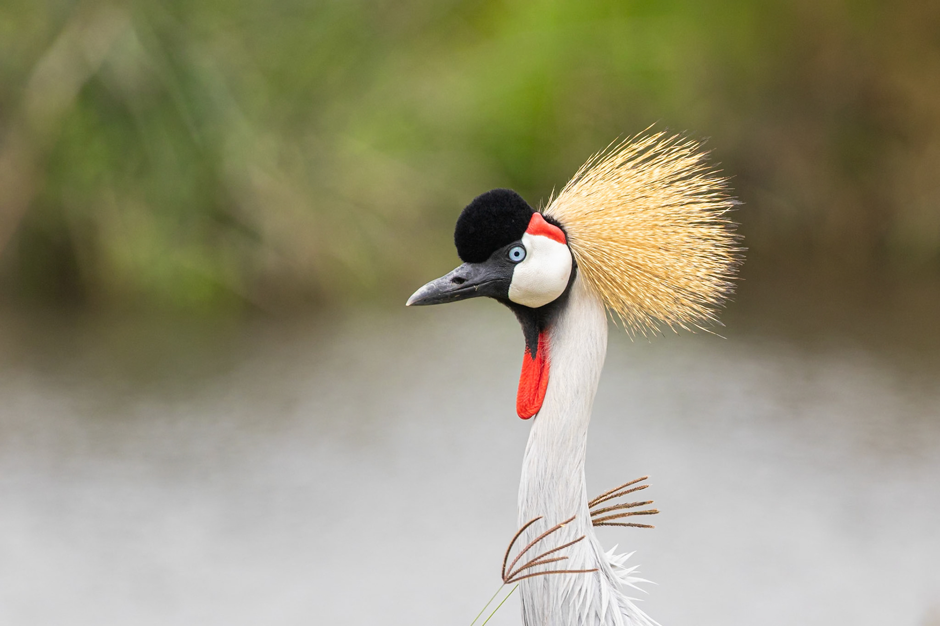 Ngorongoro National Park, Tanzania