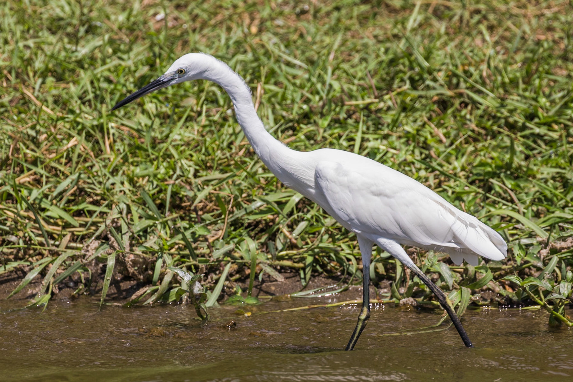 Queen Elizabeth National Park, Uganda