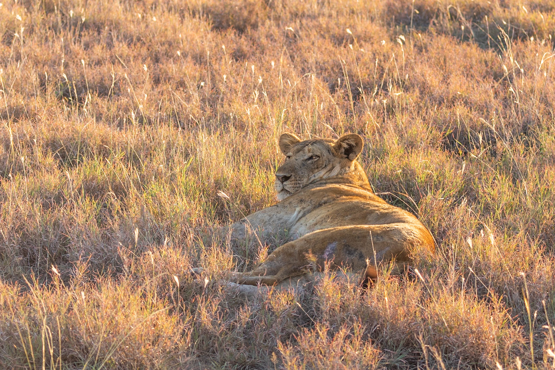 Queen Elizabeth National Park, Uganda