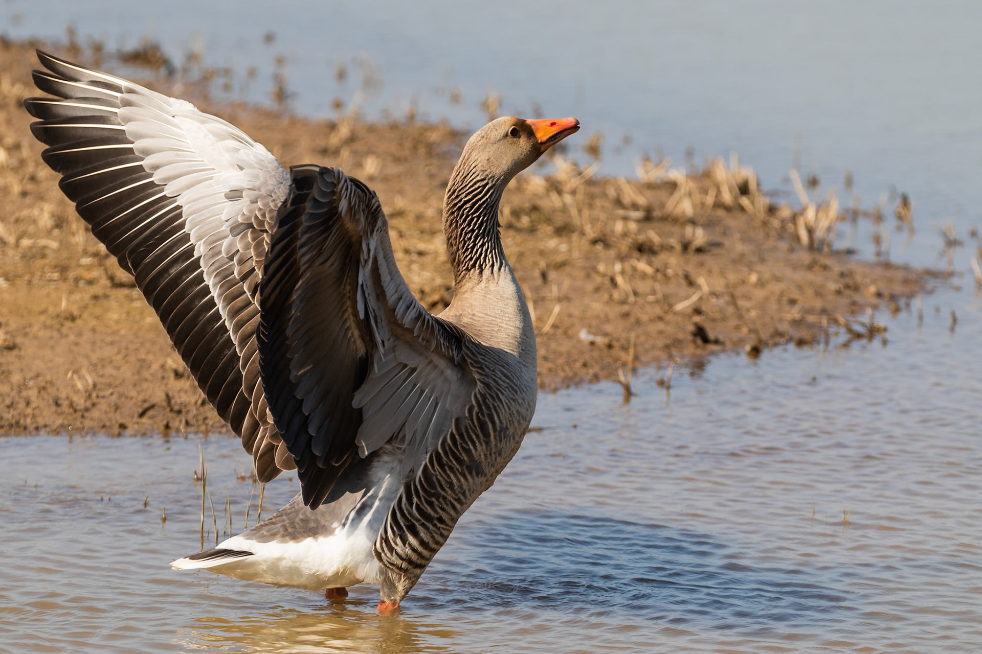 Norfolk, United Kingdom
