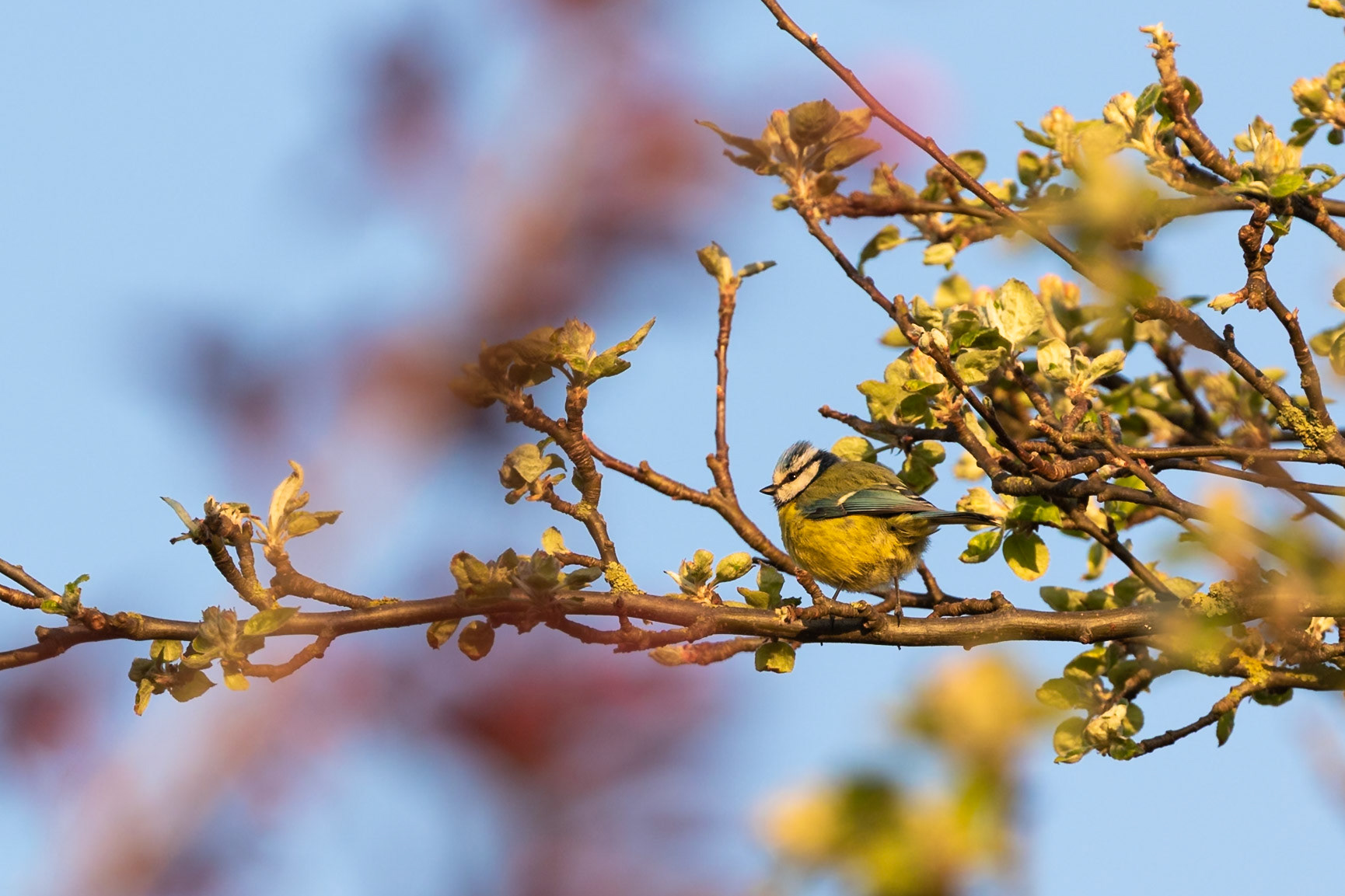 Norfolk, United Kingdom