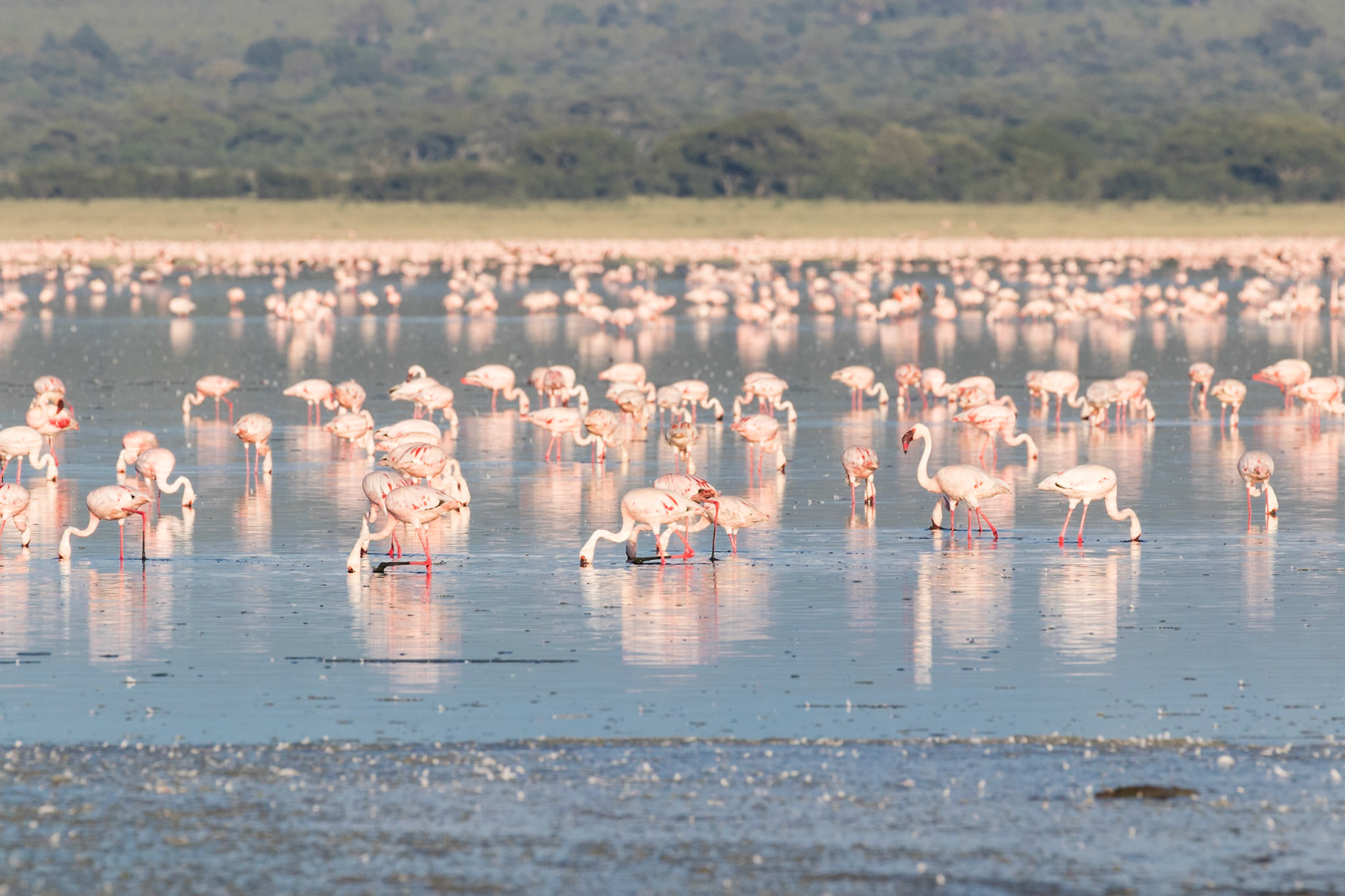 Tarangire National Park, Tanzania