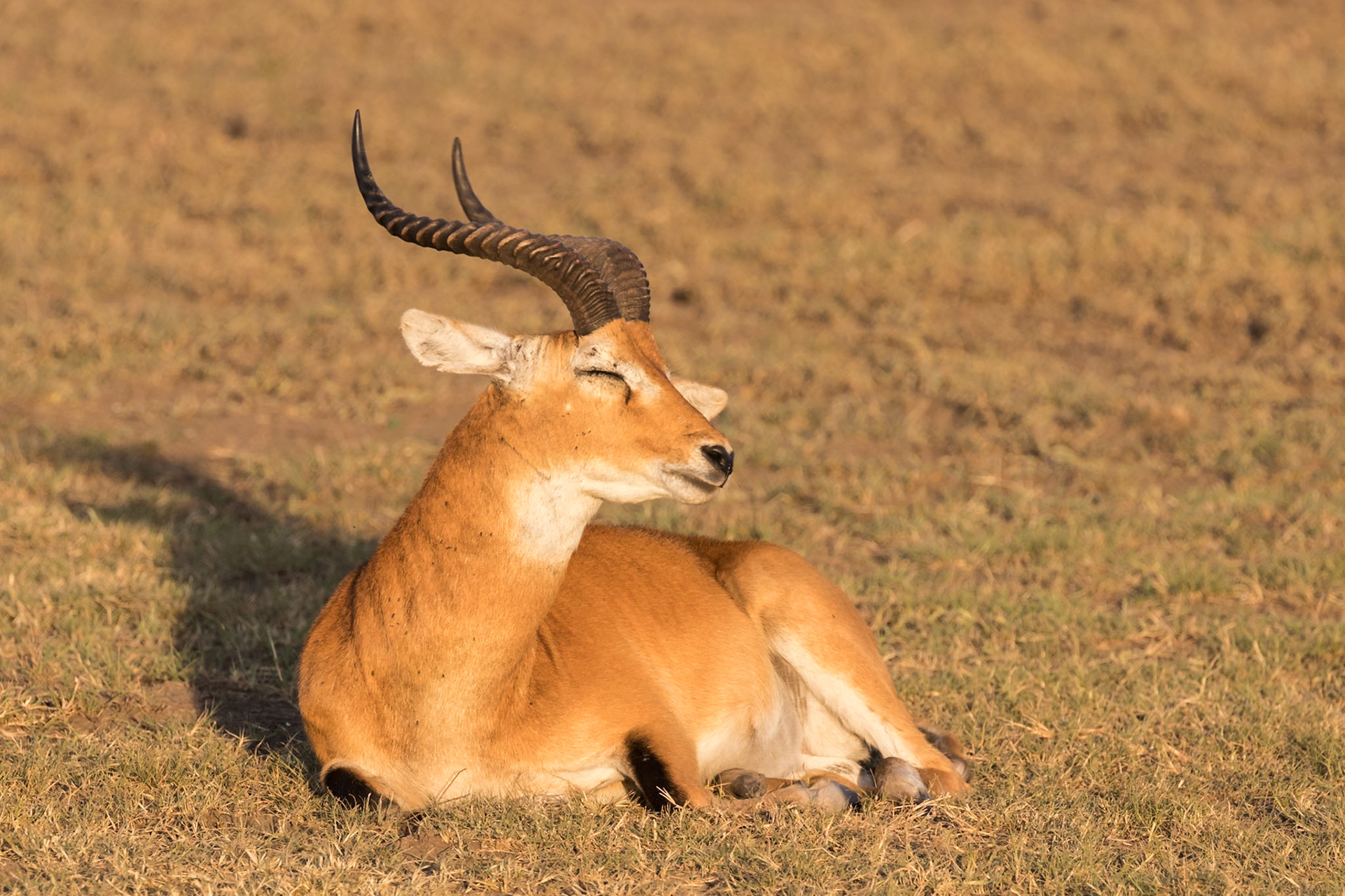 Queen Elizabeth National Park, Uganda