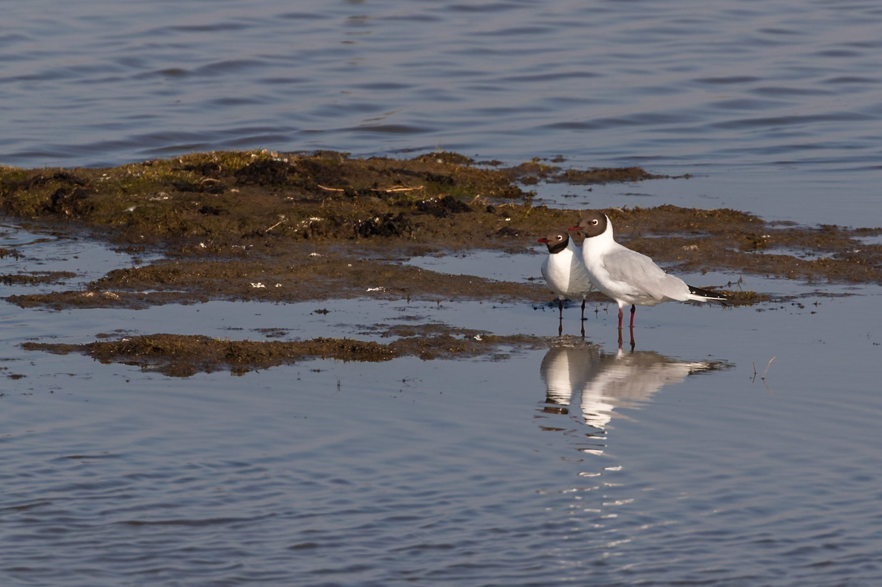Norfolk, United Kingdom