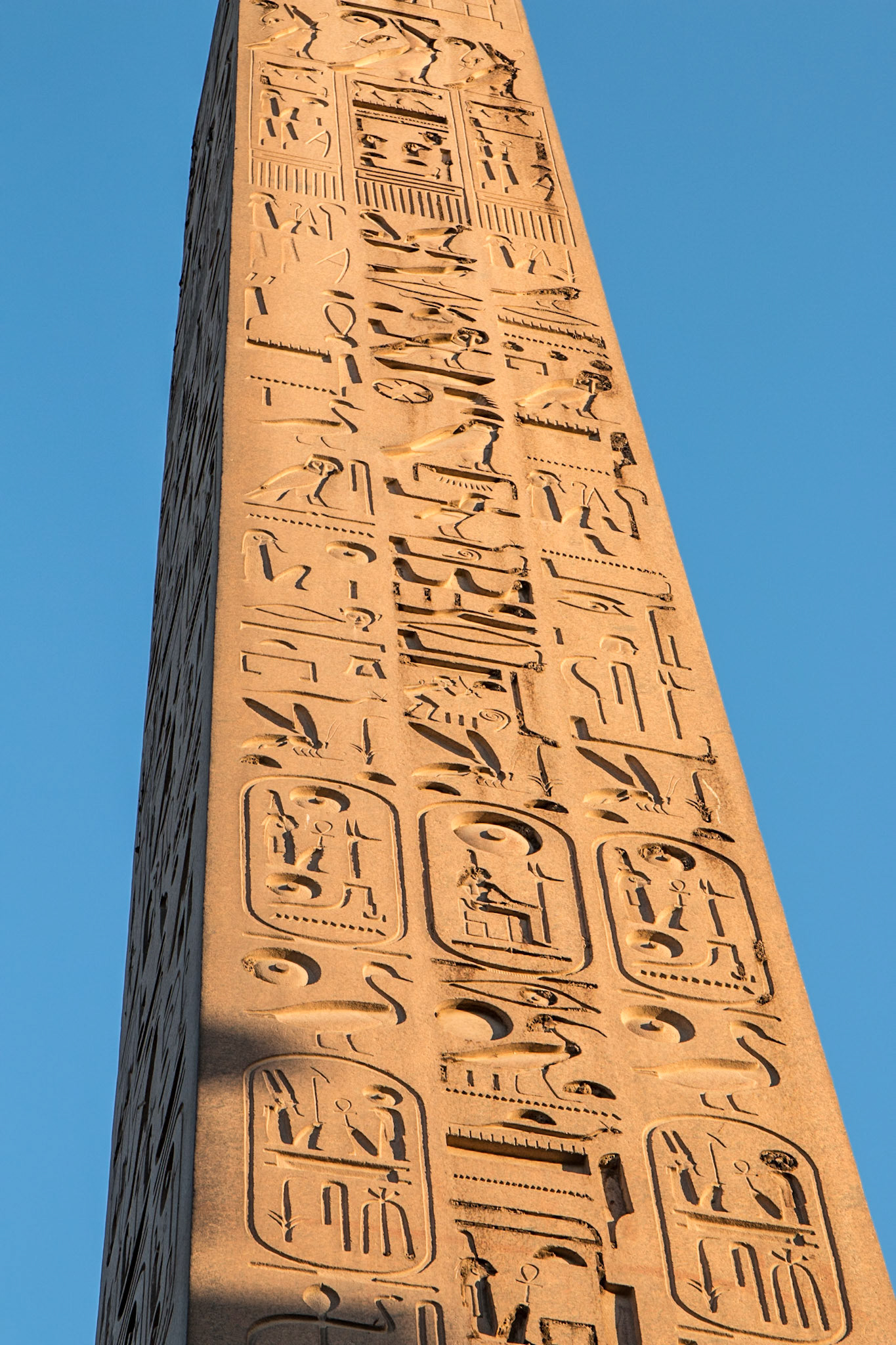 Luxor Temple Obelisk, Luxor, Egypt