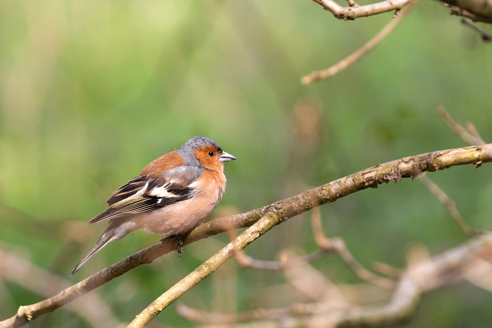Norfolk, United Kingdom