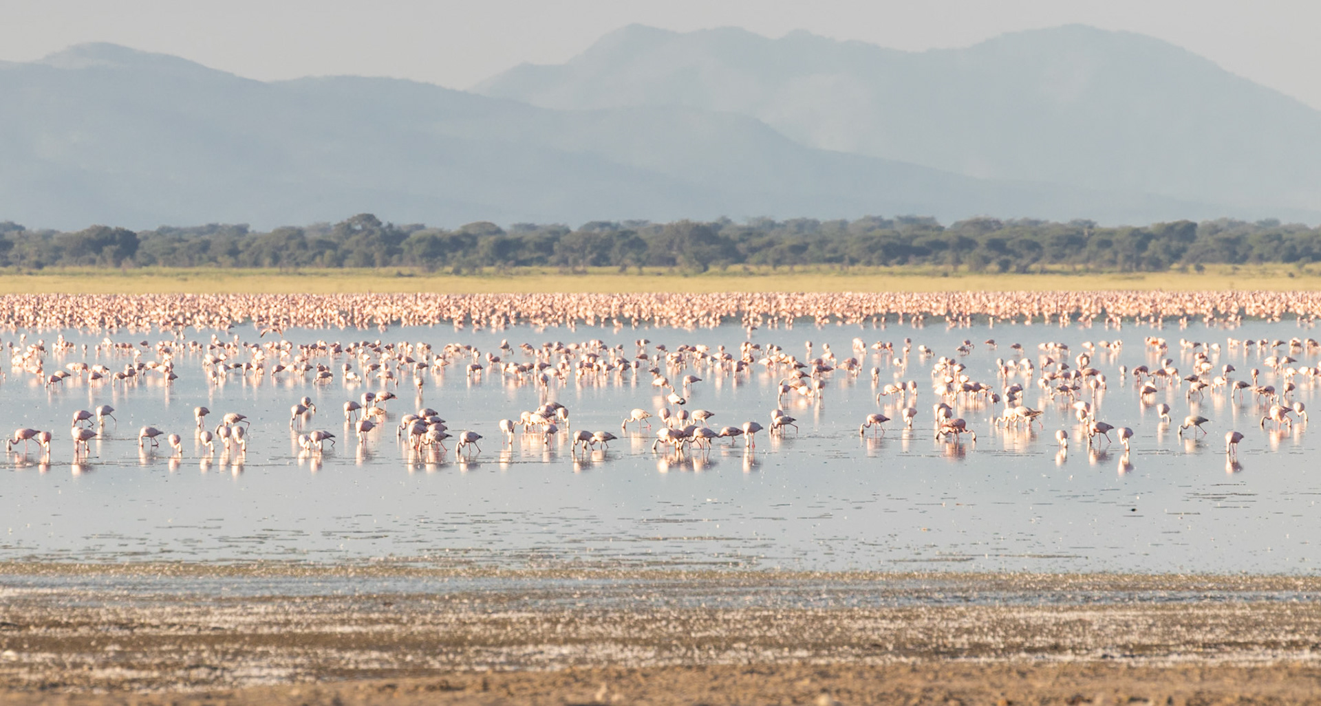 Tarangire National Park, Tanzania