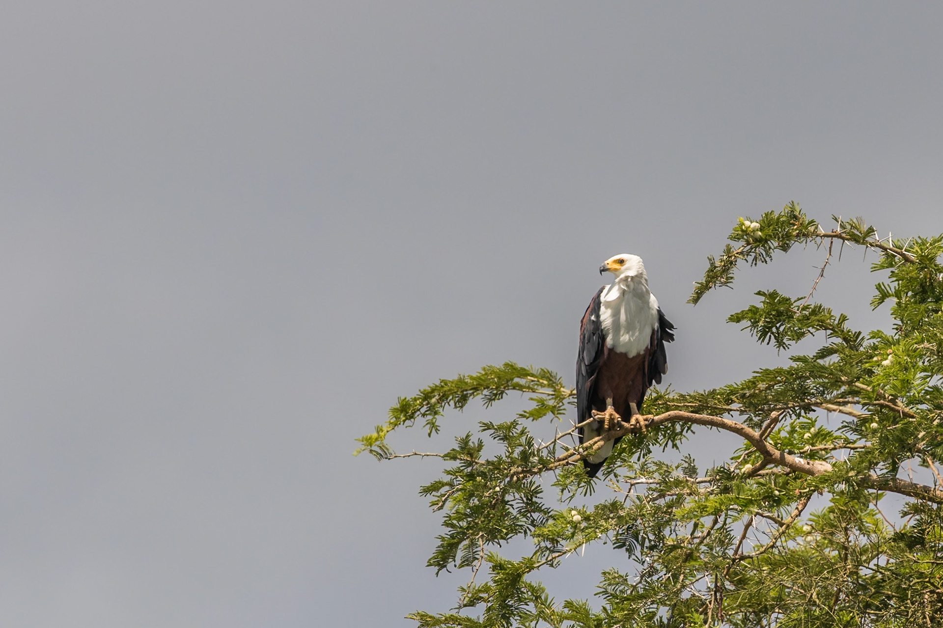 Queen Elizabeth National Park, Uganda