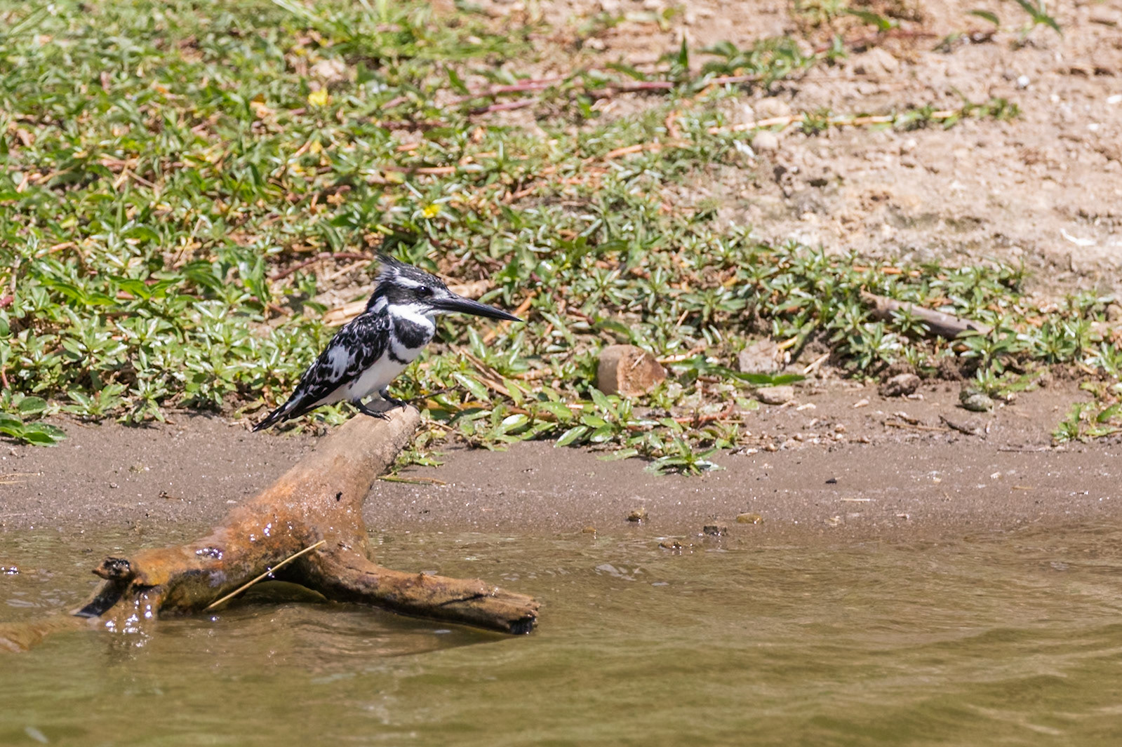 Queen Elizabeth National Park, Uganda