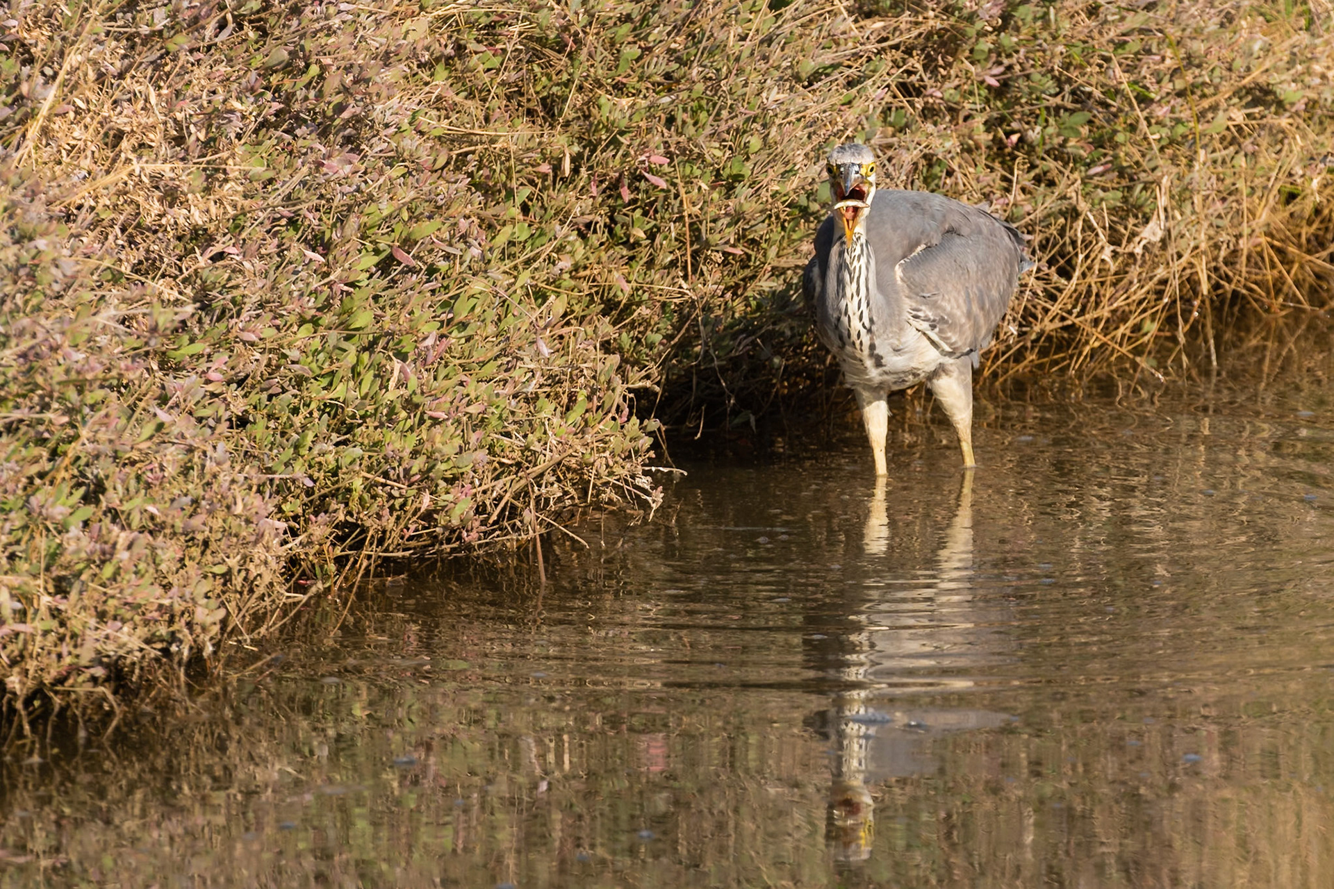 Norfolk, United Kingdom