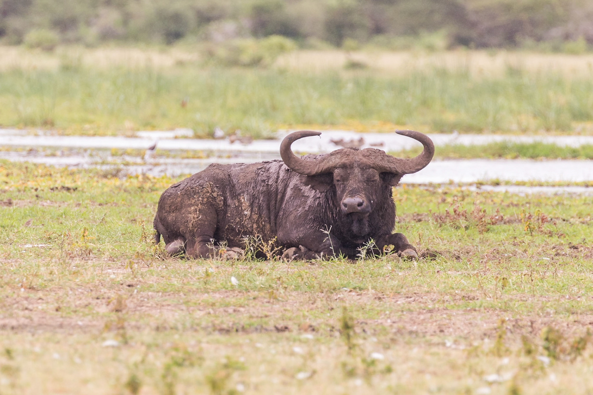 Lake Manyara National Park, Tanzania