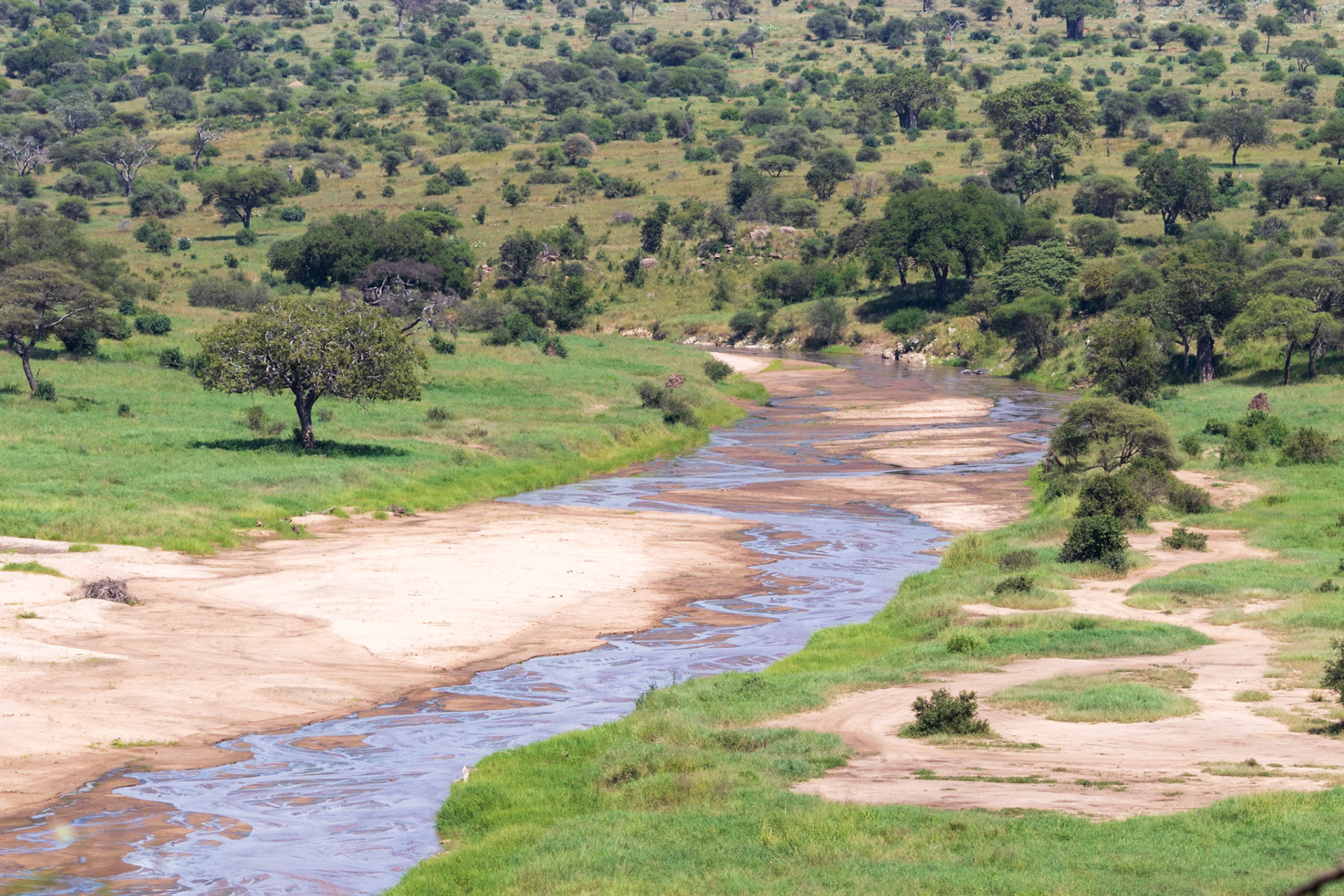Tarangire National Park, Tanzania