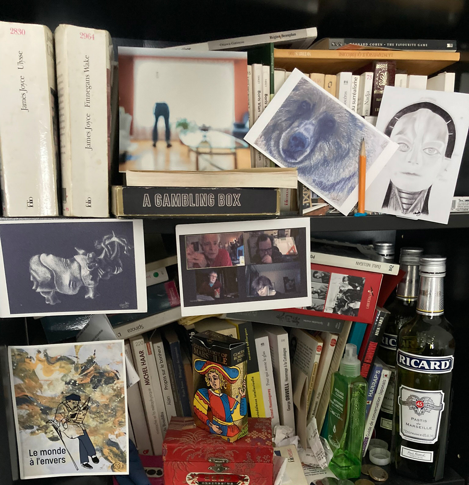 Elles sont bien en vue dans l’une de mes bibliothèques.