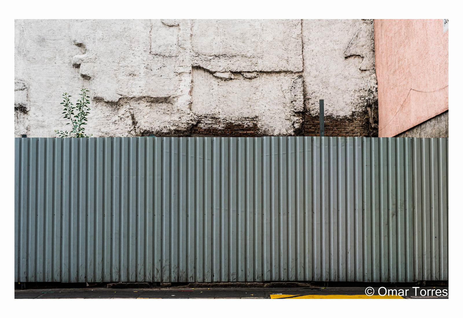 Fences