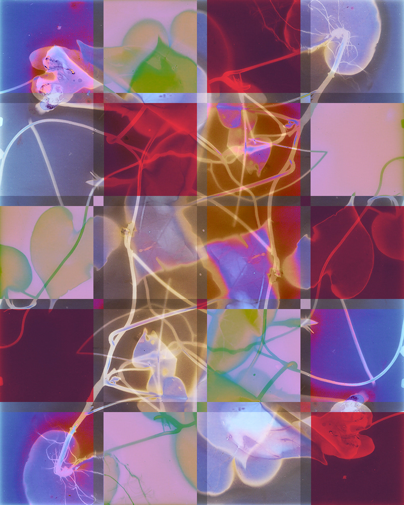 Lumen Grid 1