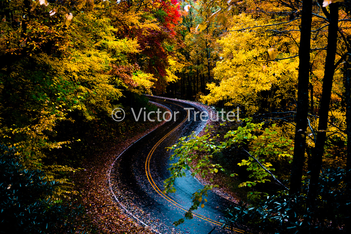 Fall Mountain Roads