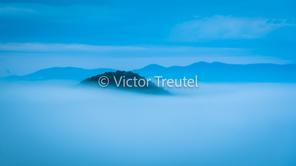 Above the Fog