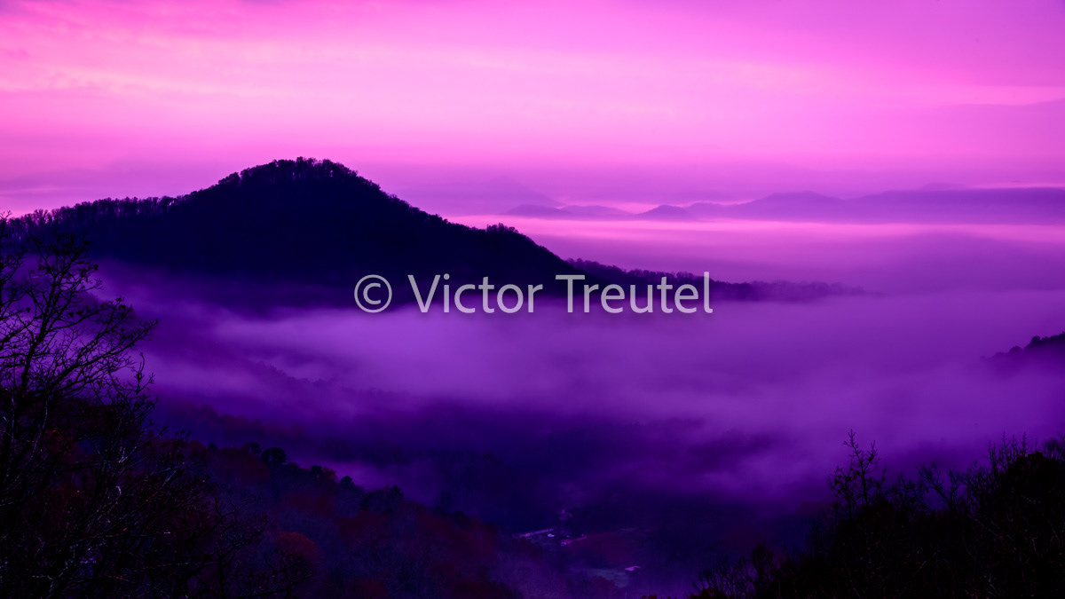 Purple Sunrise