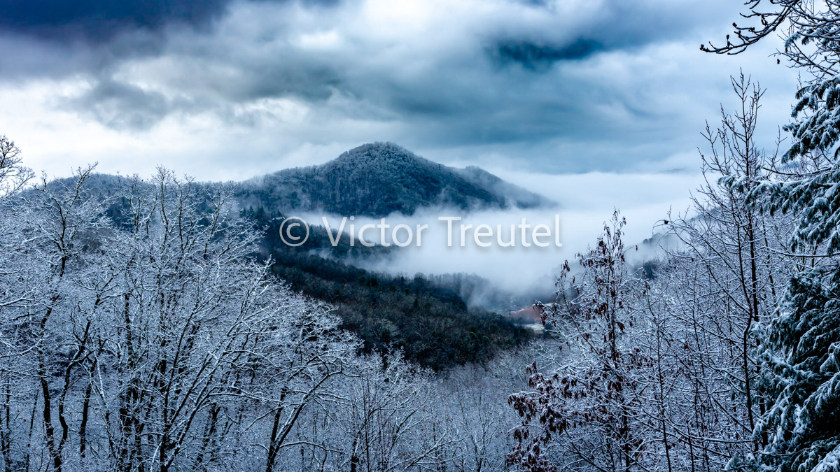 Mountain Frost
