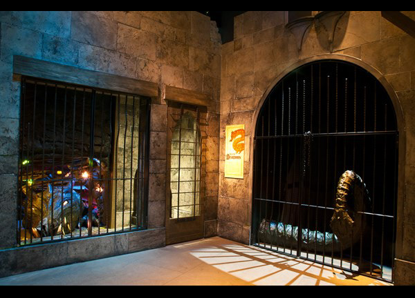 DRAGON: MAIN GALLERY