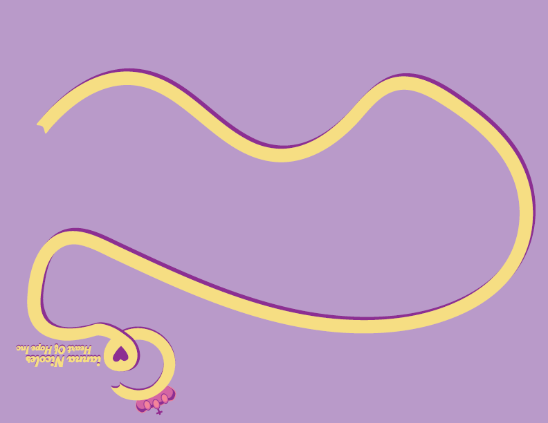 Back of the Brochure 