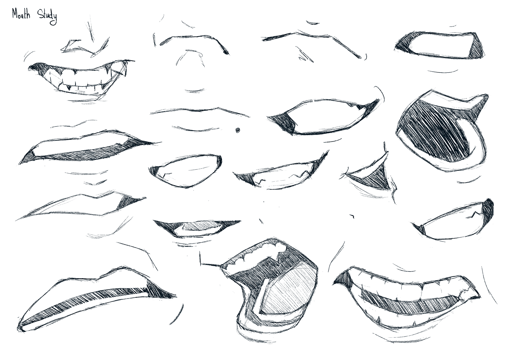 Mouth Studies