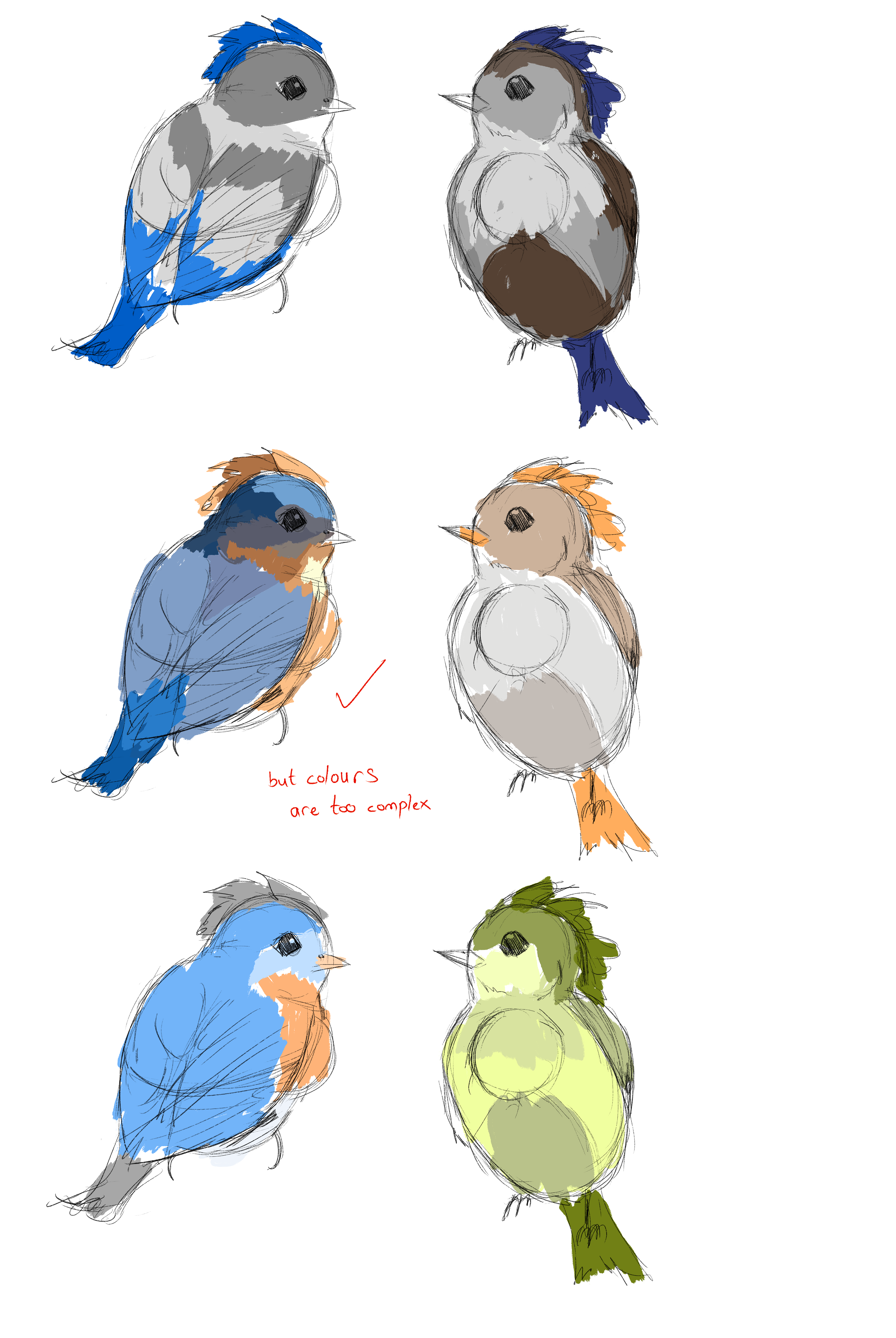 Continuing with Colours