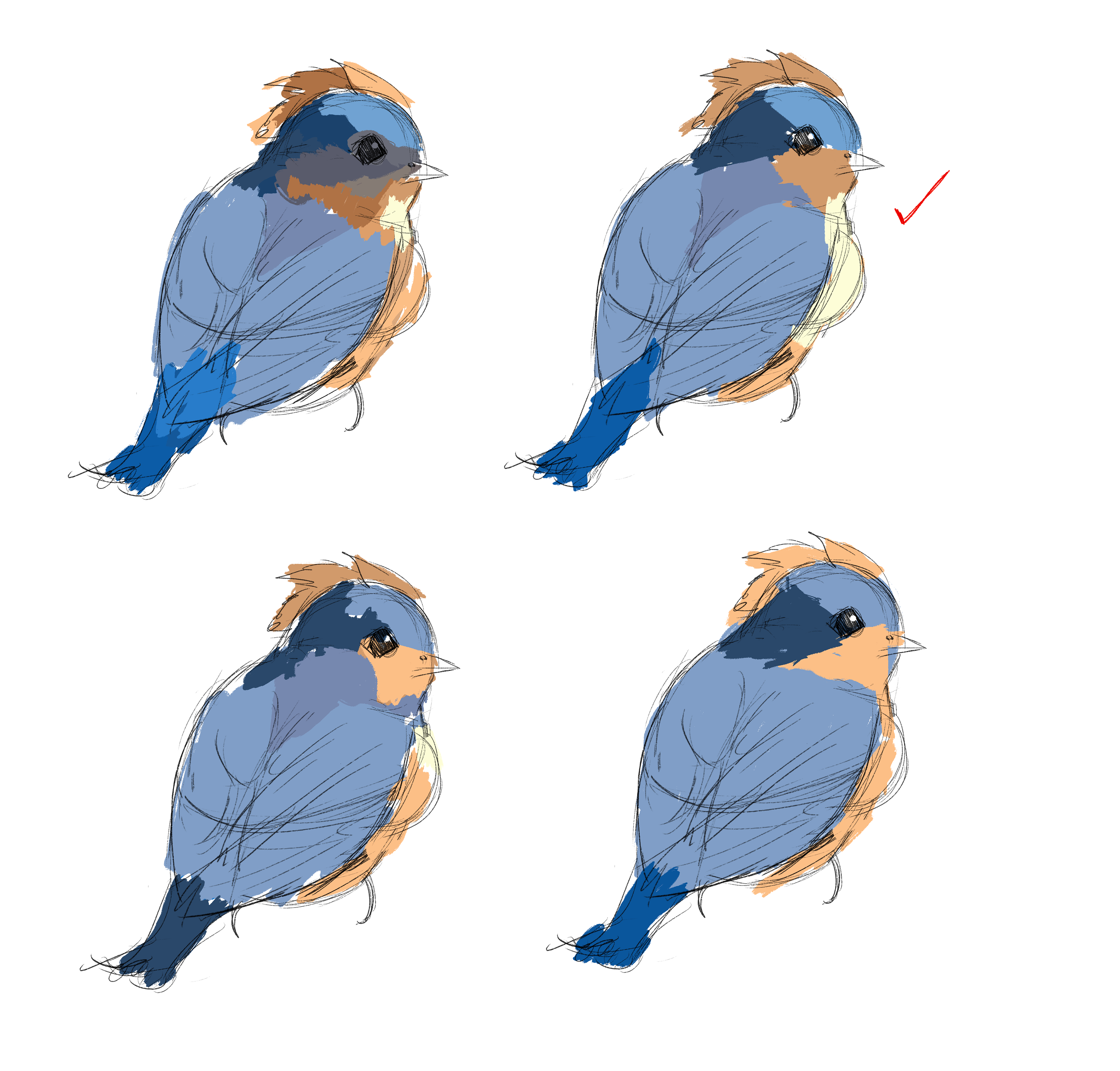 Details of Colour Palette