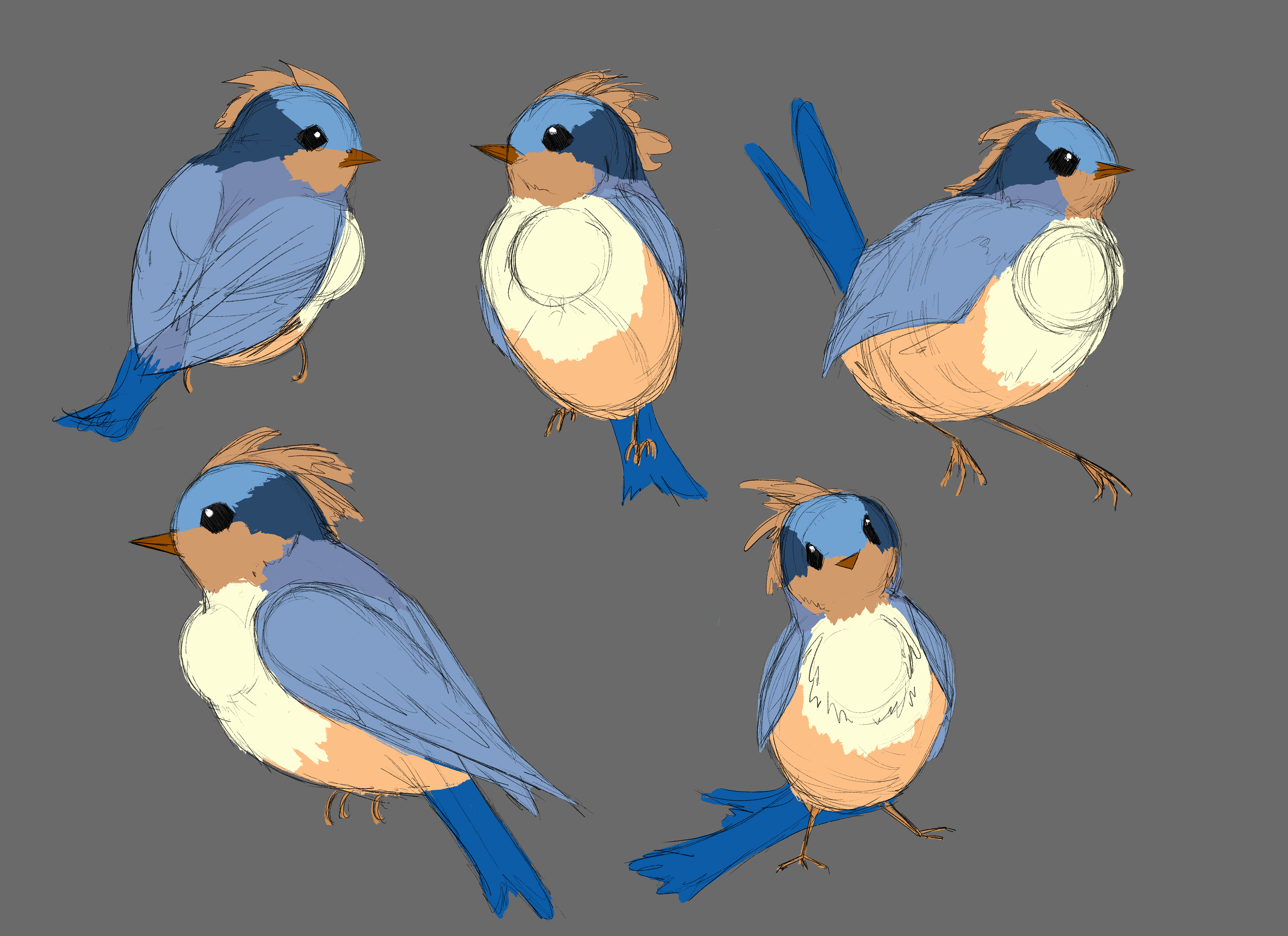 Final Design & Colour Palette