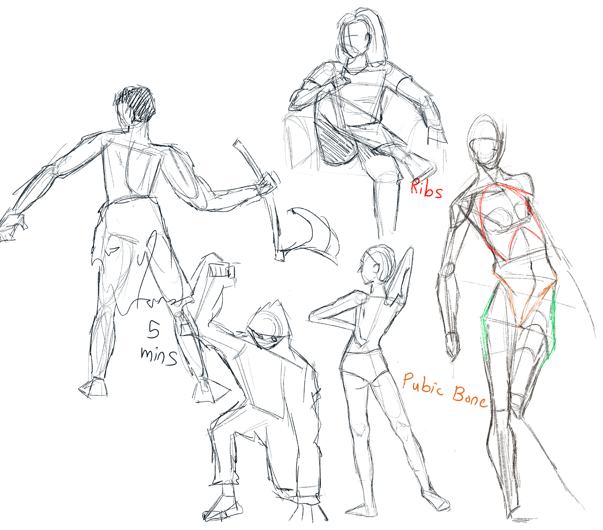 Anatomy Practice/ Life Drawing