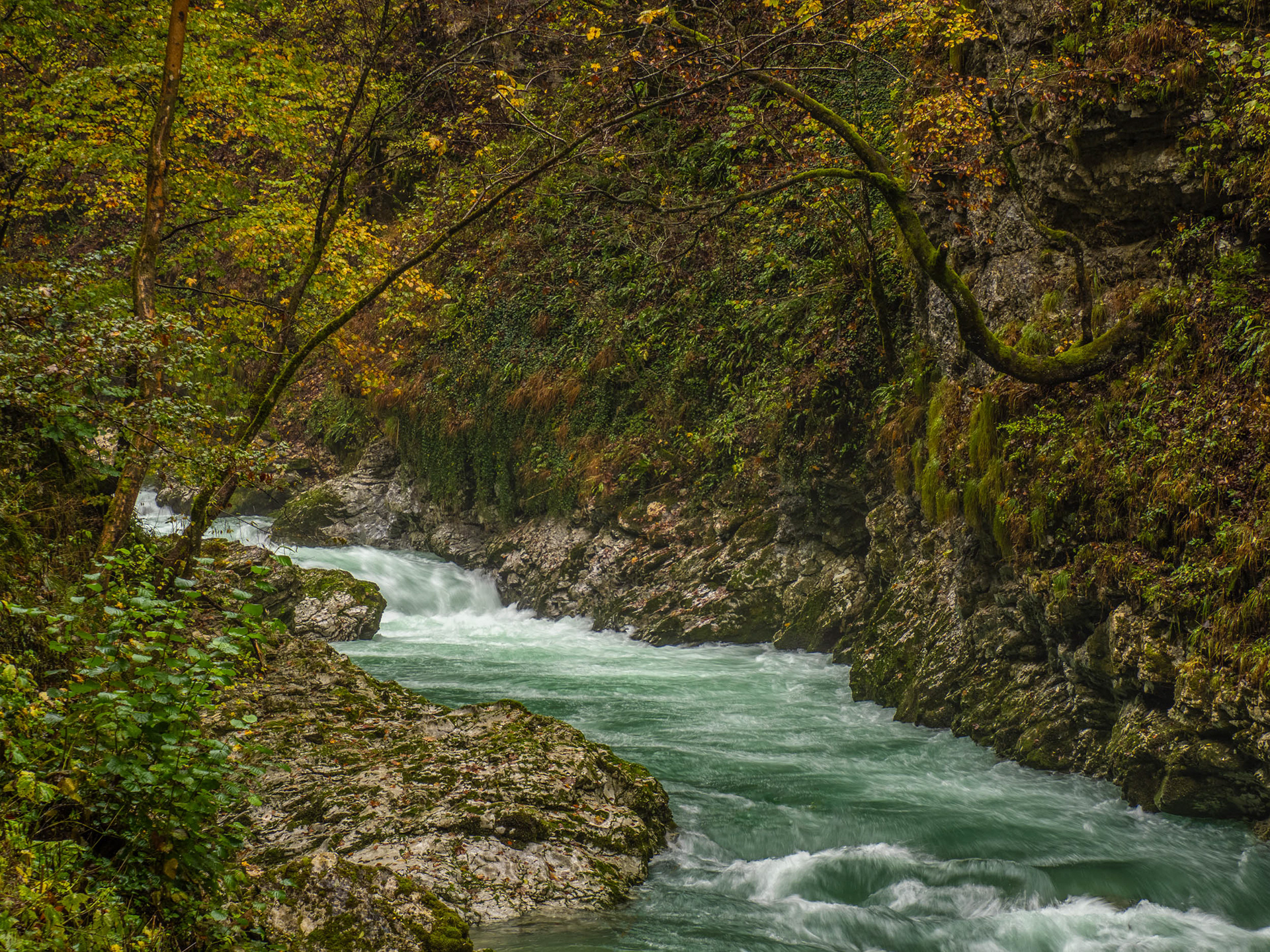 Green River, Vintgar Gorge