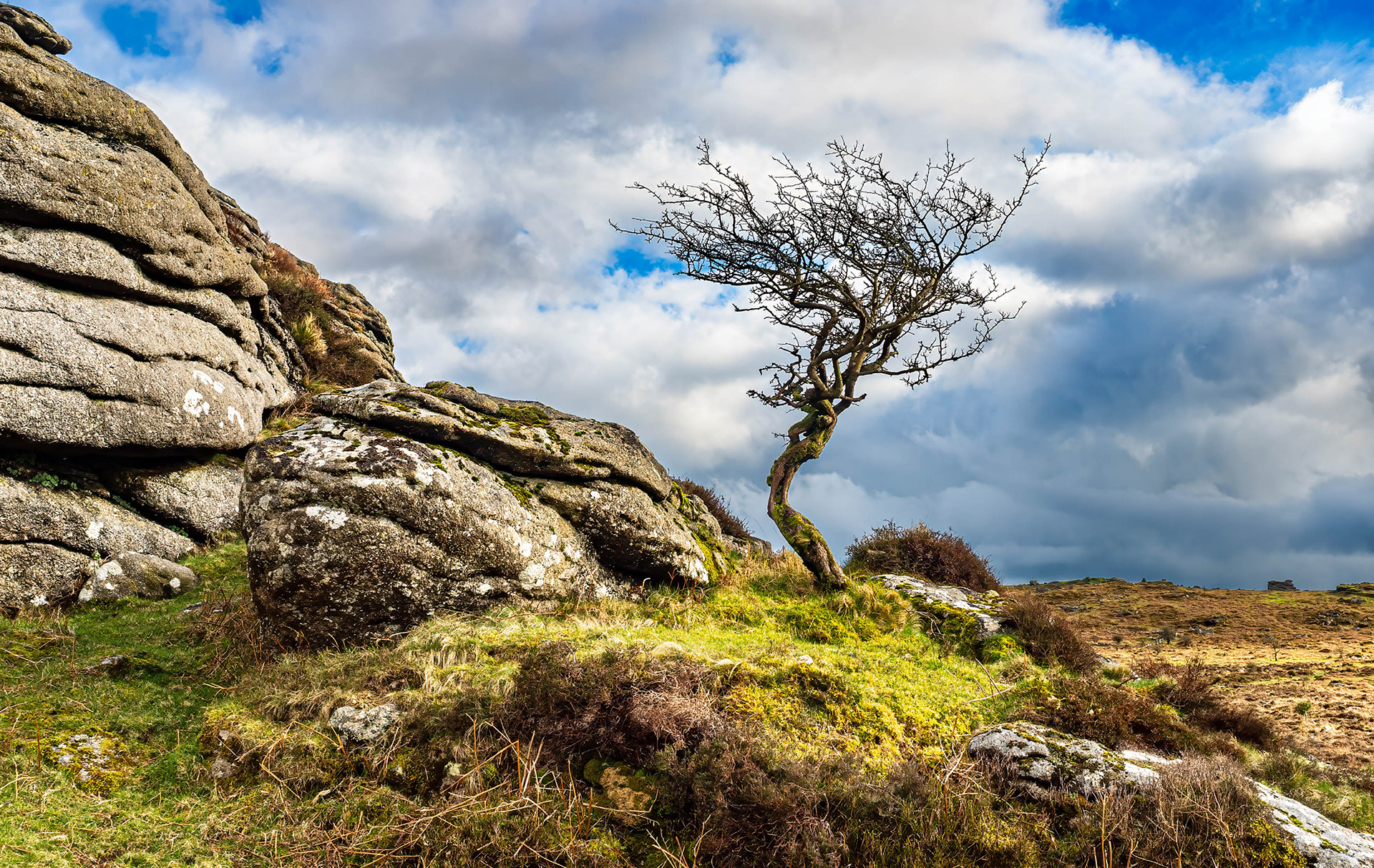 Holwell Tor
