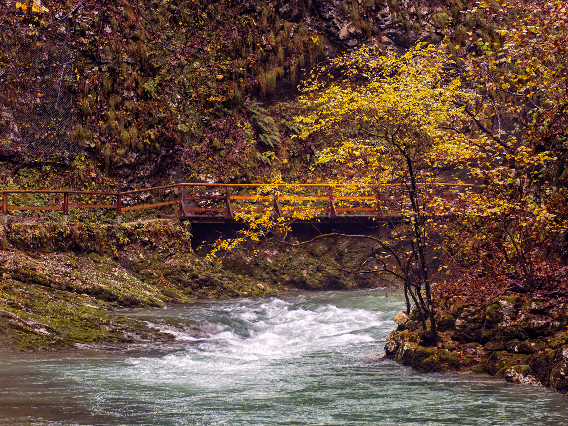Vintgar Gorge