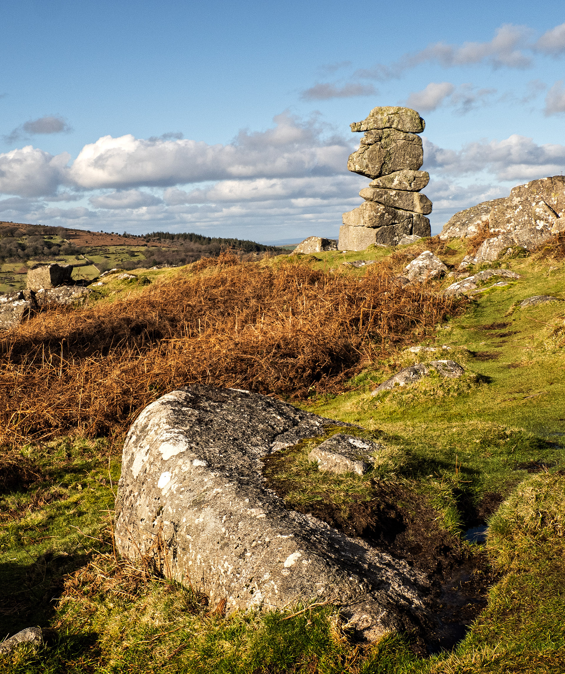Bowerman's Nose