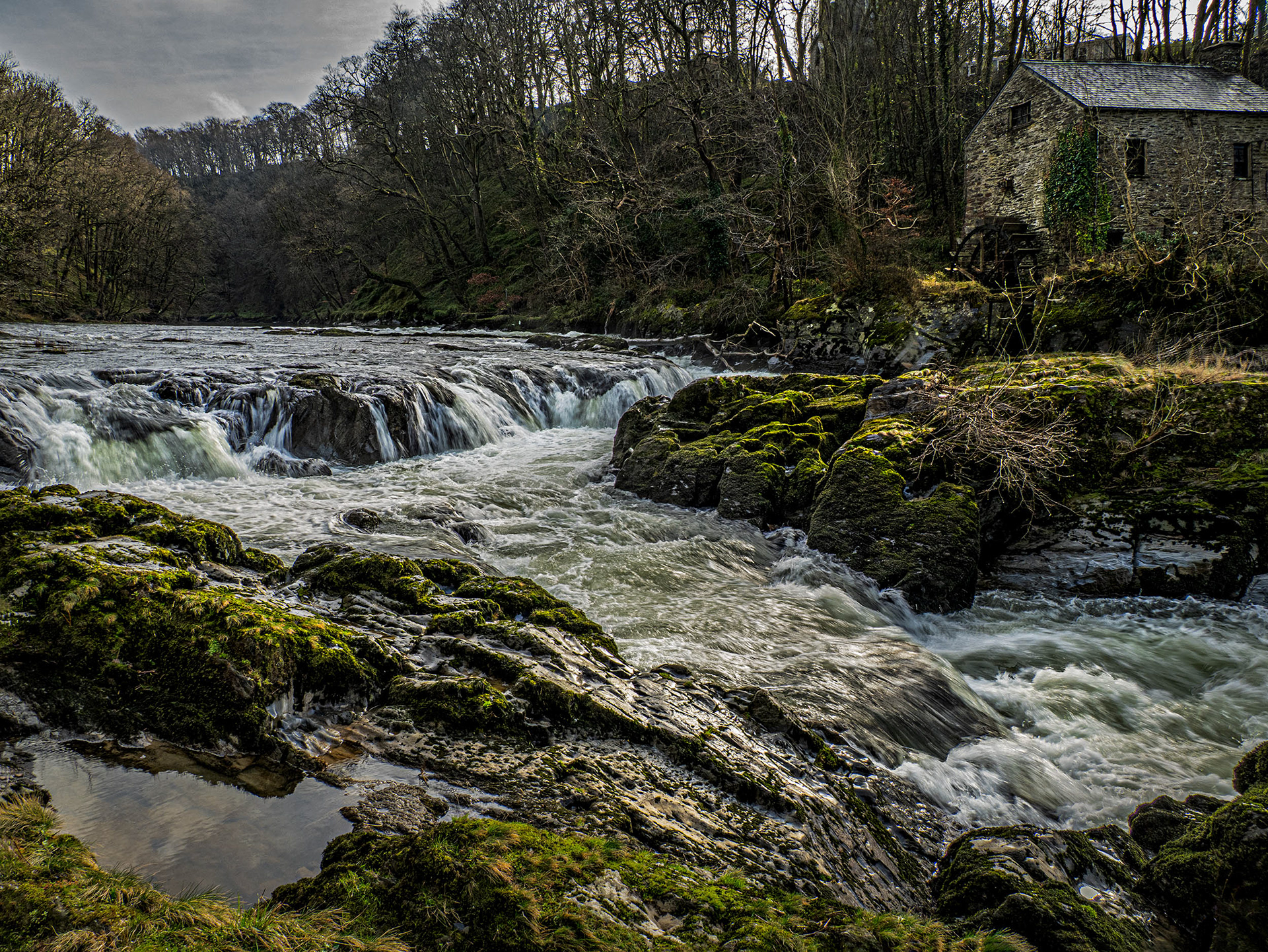 Cenarth Falls