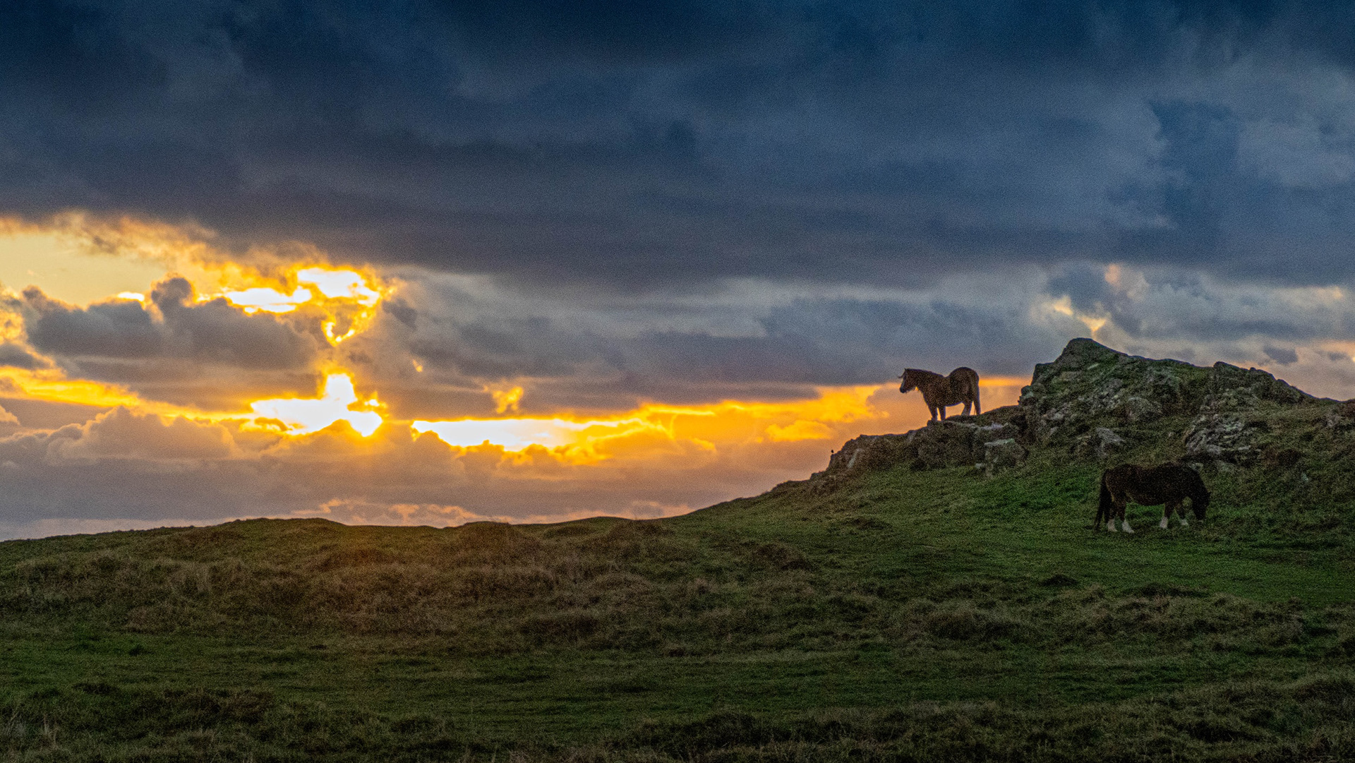 Ynys Llanddwyn Sunset