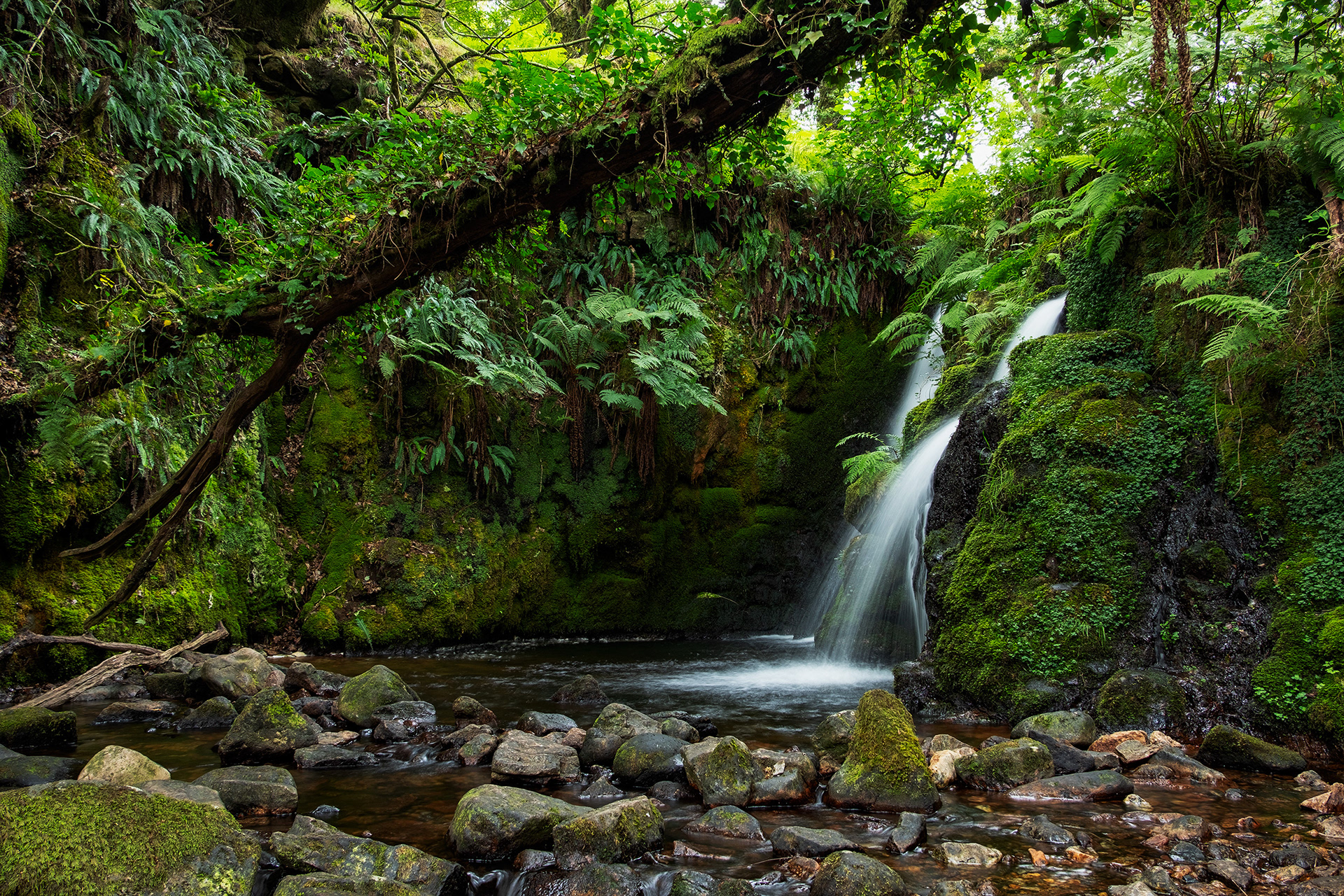 Venford Falls
