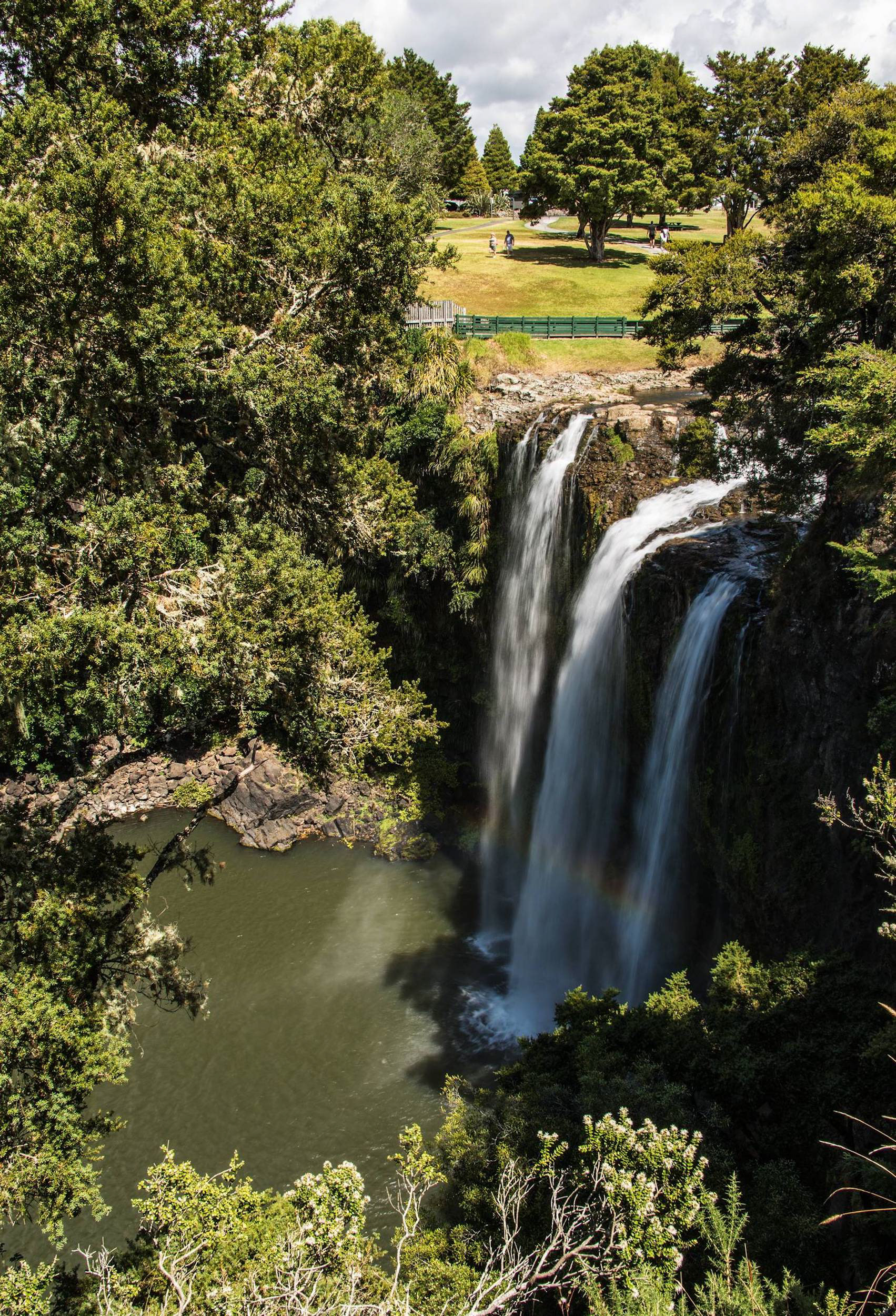 Whangarei Falls