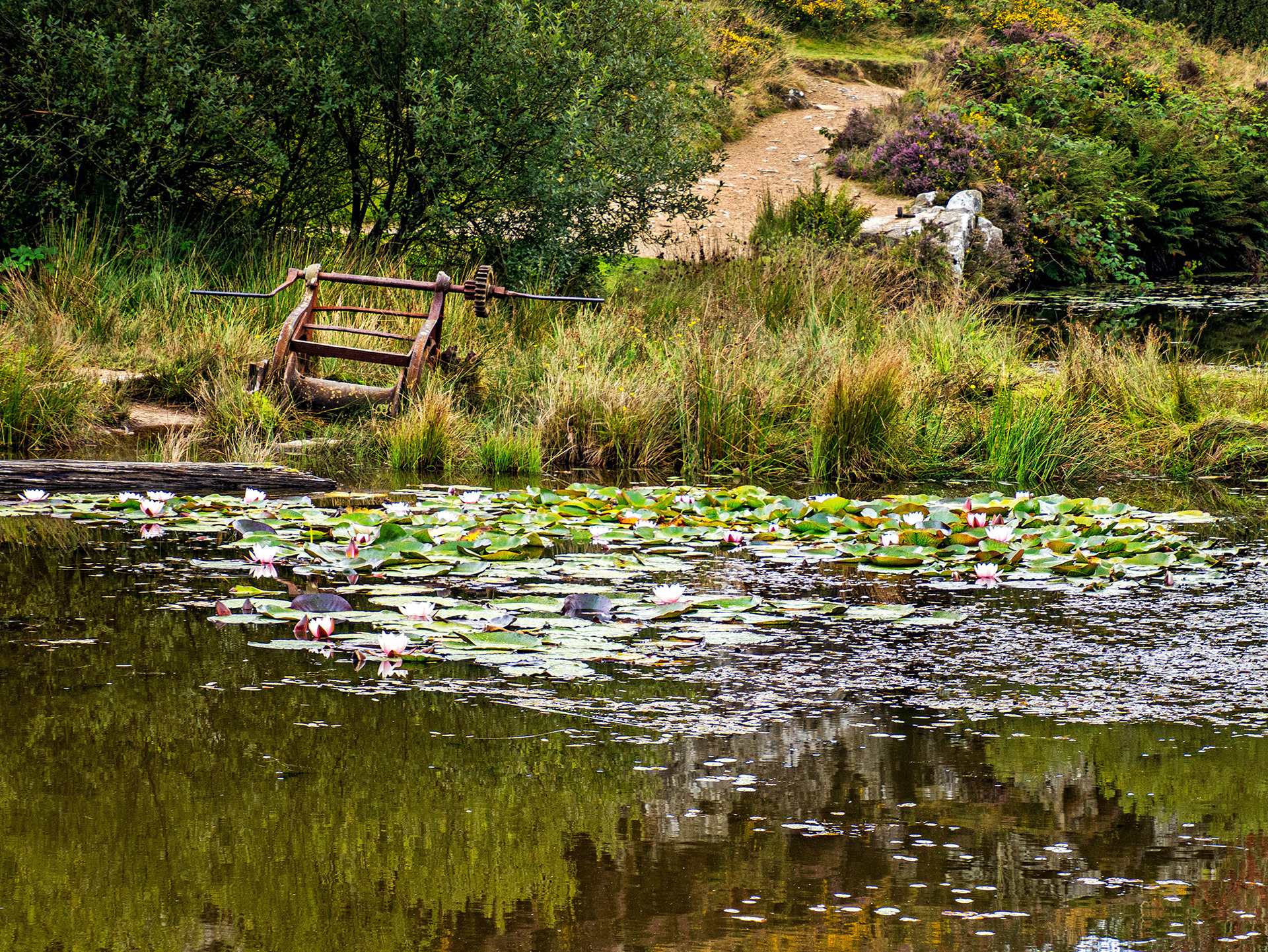 Haytor Quarry
